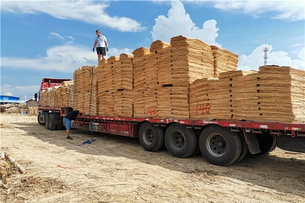 China's Eucalyptus Log Resource Distribution And Supply And Demand Analysis